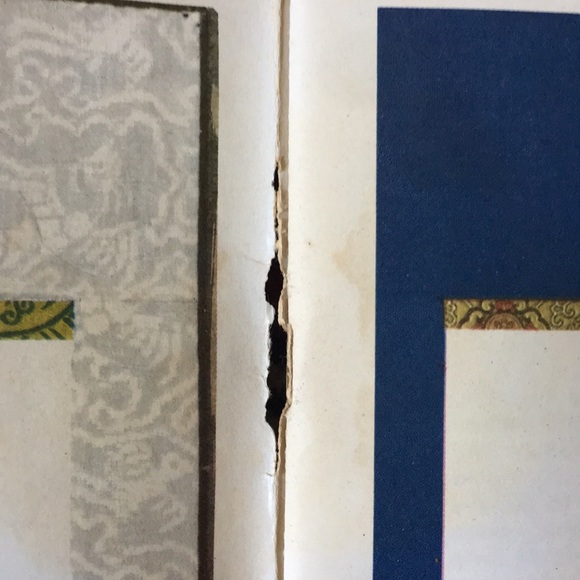 Two Rare Chinese drawing and appreciation books - Picture 8 of 9